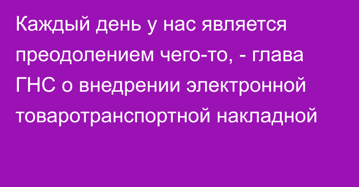 Каждый день у нас является преодолением чего-то, - глава ГНС о внедрении электронной товаротранспортной накладной