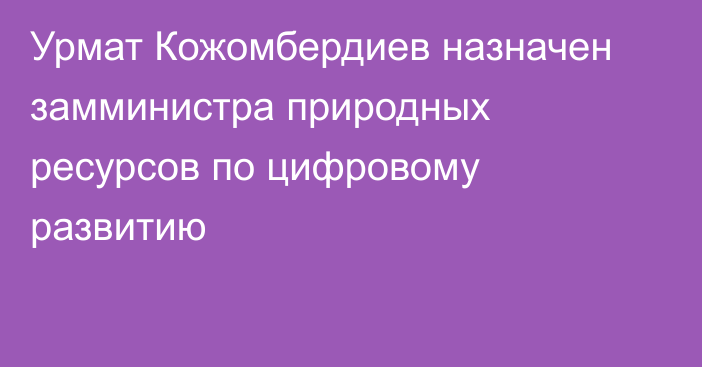 Урмат Кожомбердиев назначен замминистра природных ресурсов по цифровому развитию