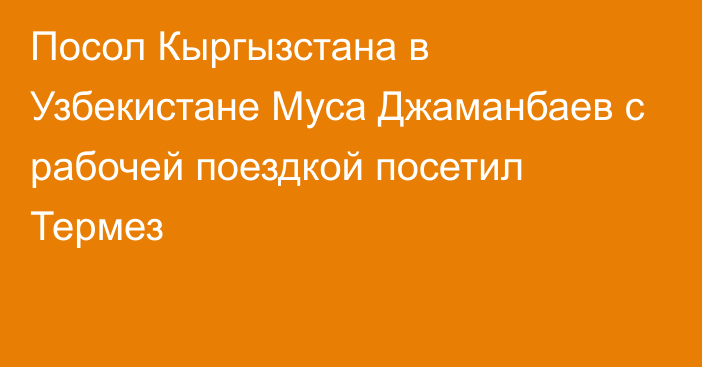 Посол Кыргызстана в Узбекистане Муса Джаманбаев с рабочей поездкой посетил Термез