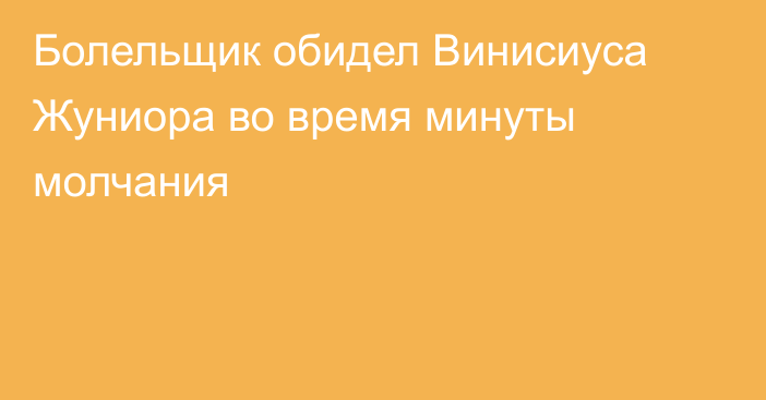 Болельщик обидел Винисиуса Жуниора во время минуты молчания