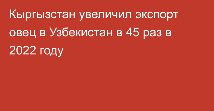 Кыргызстан увеличил экспорт овец в Узбекистан в 45 раз в 2022 году