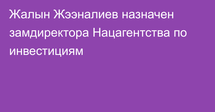 Жалын Жээналиев назначен замдиректора Нацагентства по инвестициям