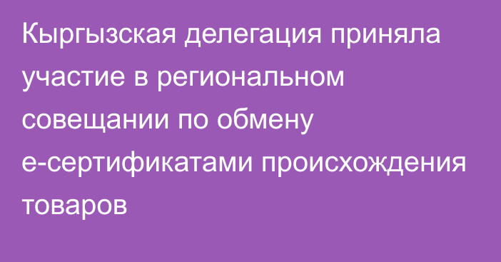 Кыргызская делегация приняла участие в региональном совещании по обмену е-сертификатами происхождения товаров