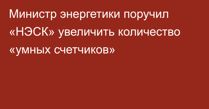 Министр энергетики поручил «НЭСК» увеличить количество «умных счетчиков»