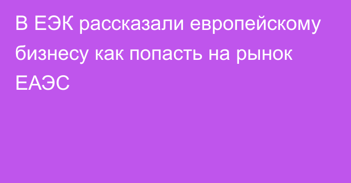 В ЕЭК рассказали европейскому бизнесу как попасть на рынок ЕАЭС