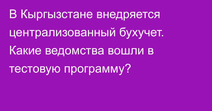 В Кыргызстане внедряется централизованный бухучет. Какие ведомства вошли в тестовую программу?