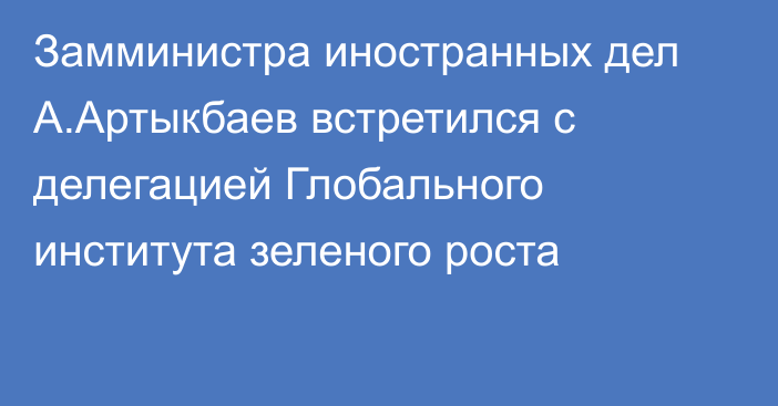 Замминистра иностранных дел А.Артыкбаев встретился с делегацией Глобального института зеленого роста