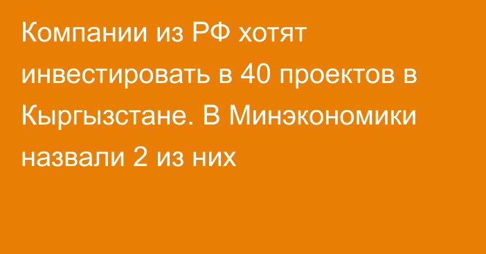 Компании из РФ хотят инвестировать в 40 проектов в Кыргызстане. В Минэкономики назвали 2 из них