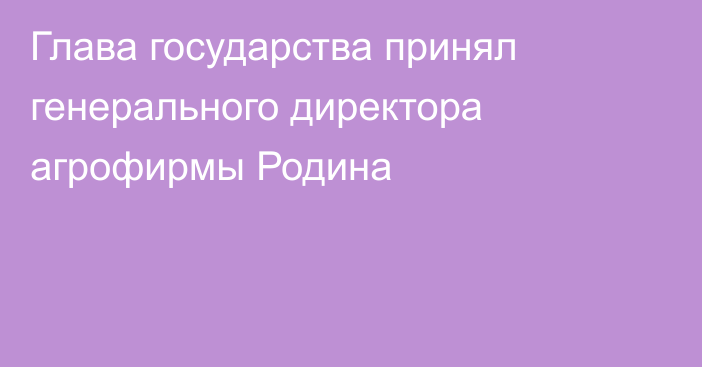 Глава государства принял генерального директора агрофирмы Родина