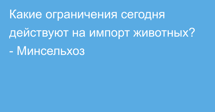 Какие ограничения сегодня действуют на импорт животных? - Минсельхоз 