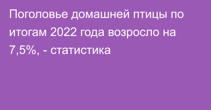 Поголовье домашней птицы по итогам 2022 года возросло на 7,5%, - статистика