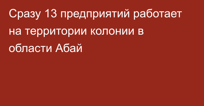 Сразу 13 предприятий работает на территории колонии в области Абай