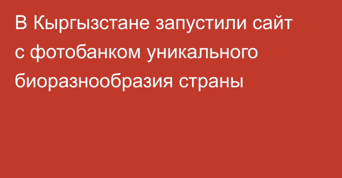 В Кыргызстане запустили сайт с фотобанком уникального биоразнообразия страны