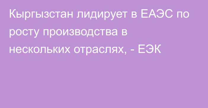 Кыргызстан лидирует в ЕАЭС по росту производства в нескольких отраслях, - ЕЭК