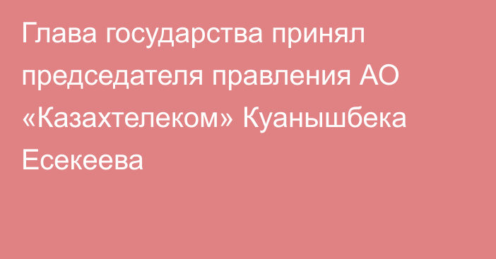 Глава государства принял председателя правления АО «Казахтелеком» Куанышбека Есекеева