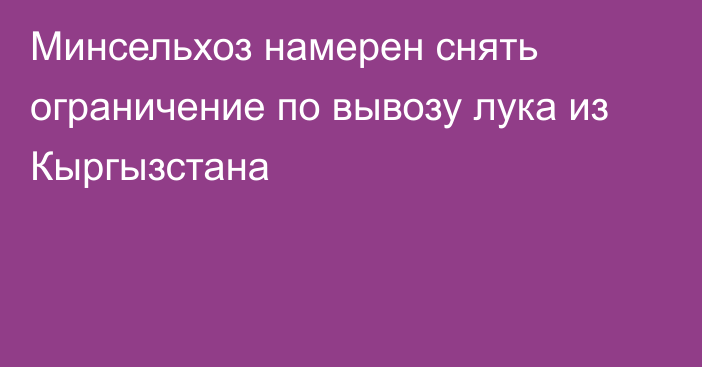 Минсельхоз намерен снять ограничение по вывозу лука из Кыргызстана