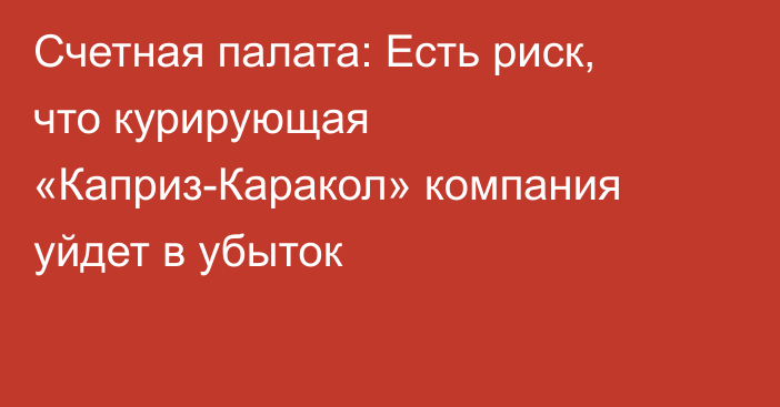 Счетная палата: Есть риск, что курирующая «Каприз-Каракол» компания уйдет в убыток