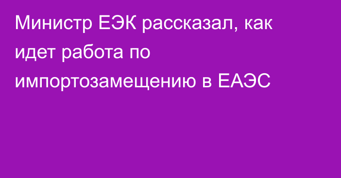 Министр ЕЭК рассказал, как идет работа по импортозамещению в ЕАЭС