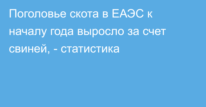 Поголовье скота в ЕАЭС к началу года выросло за счет свиней, - статистика