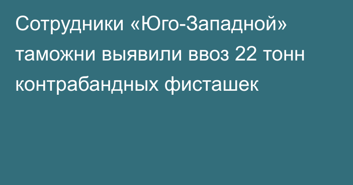 Сотрудники «Юго-Западной» таможни выявили ввоз 22 тонн контрабандных фисташек