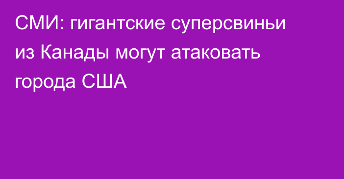 СМИ: гигантские суперсвиньи из Канады могут атаковать города США