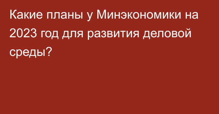 Какие планы у Минэкономики на 2023 год для развития деловой среды?