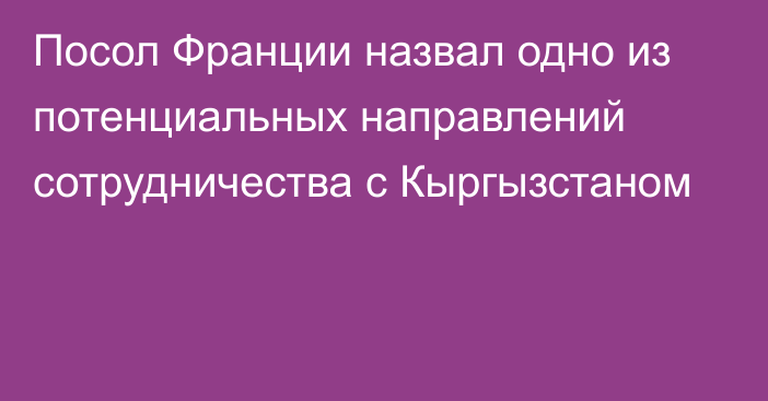 Посол Франции назвал одно из потенциальных направлений сотрудничества с Кыргызстаном