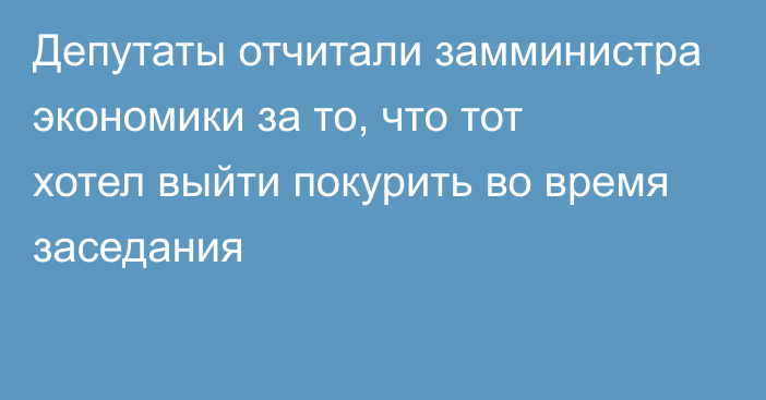 Депутаты отчитали замминистра экономики за то, что тот хотел выйти покурить во время заседания