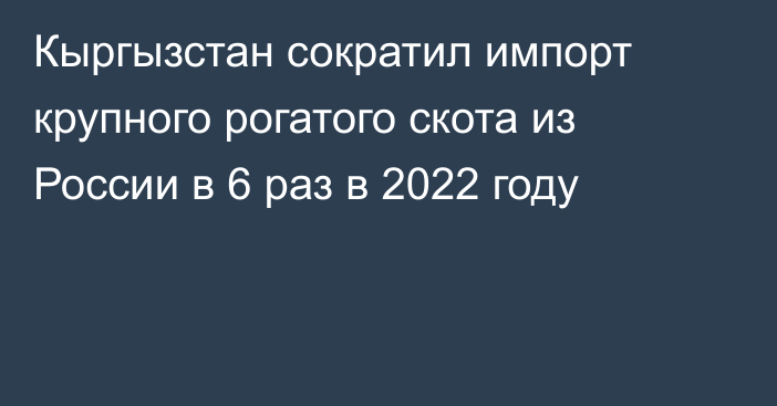 Кыргызстан сократил импорт крупного рогатого скота из России в 6 раз в 2022 году