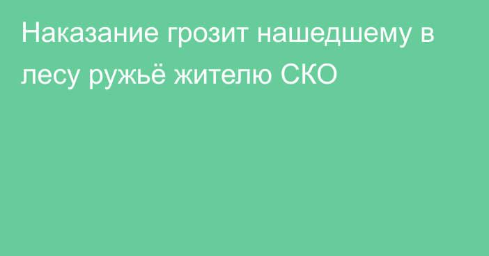 Наказание грозит нашедшему в лесу ружьё жителю СКО