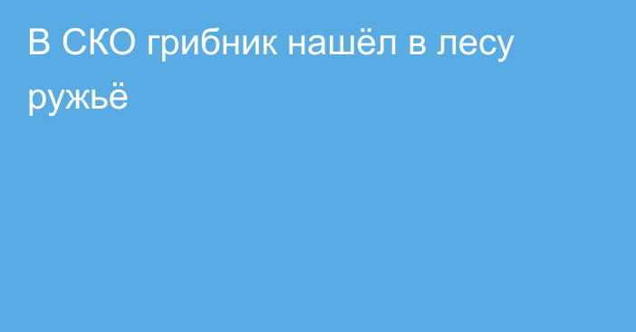 В СКО грибник нашёл в лесу ружьё