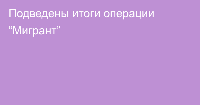 Подведены итоги операции “Мигрант”