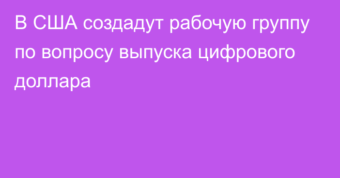 В США создадут рабочую группу по вопросу выпуска цифрового доллара