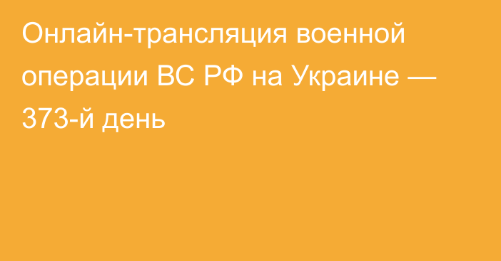 Онлайн-трансляция военной операции ВС РФ на Украине — 373-й день