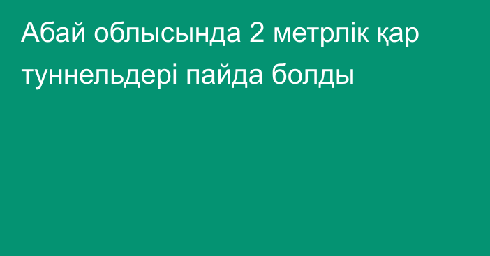 Абай облысында 2 метрлік қар туннельдері пайда болды