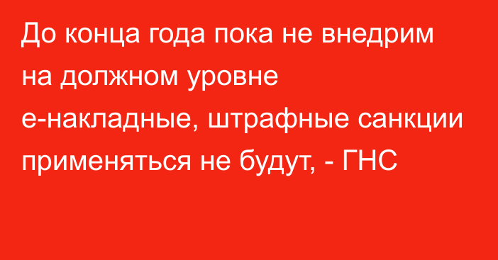 До конца года пока не внедрим на должном уровне e-накладные, штрафные санкции применяться не будут, - ГНС