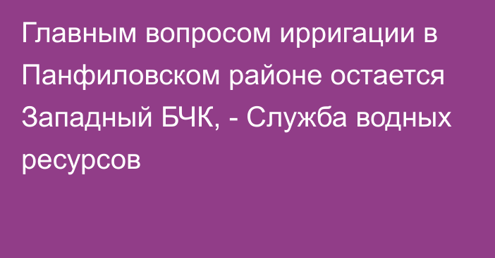 Главным вопросом ирригации в Панфиловском районе остается Западный БЧК, - Служба водных ресурсов