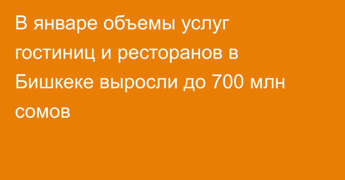 В январе объемы услуг гостиниц и ресторанов в Бишкеке выросли до 700 млн сомов