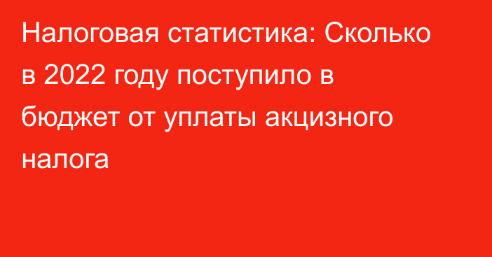 Налоговая статистика: Сколько в 2022 году поступило в бюджет от уплаты акцизного налога