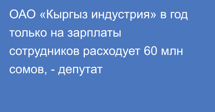 ОАО «Кыргыз индустрия» в год только на зарплаты сотрудников расходует 60 млн сомов, - депутат