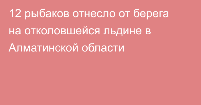 12 рыбаков отнесло от берега на отколовшейся льдине в Алматинской области