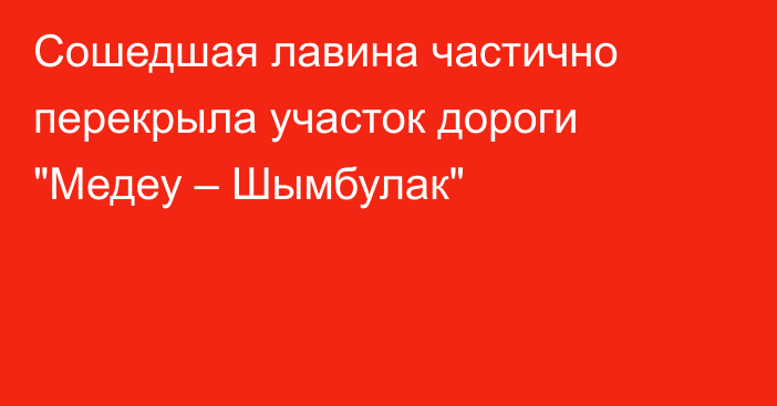 Сошедшая лавина частично перекрыла участок дороги 