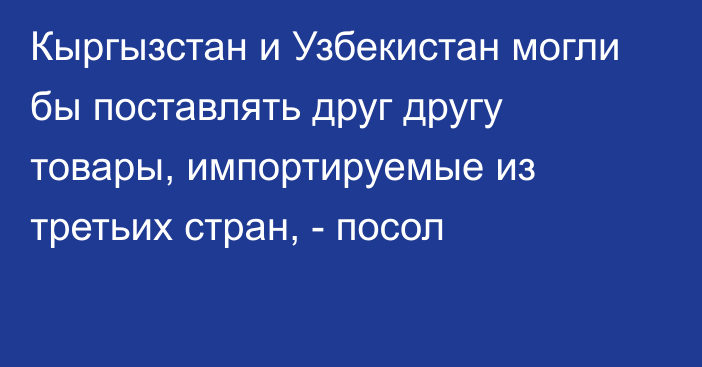 Кыргызстан и Узбекистан могли бы поставлять друг другу товары, импортируемые из третьих стран, - посол