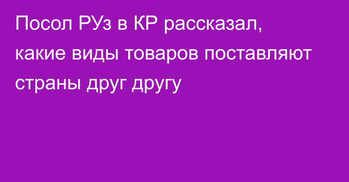 Посол РУз в КР рассказал, какие виды товаров поставляют страны друг другу