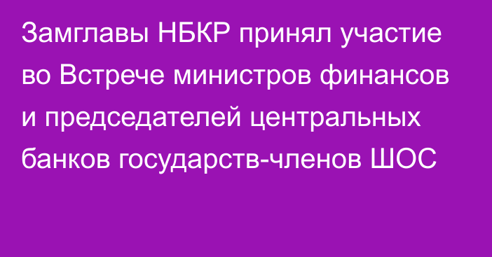 Замглавы НБКР принял участие во Встрече министров финансов и председателей центральных банков государств-членов ШОС