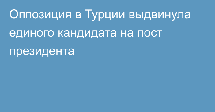 Оппозиция в Турции выдвинула единого кандидата на пост президента