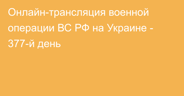 Онлайн-трансляция военной операции ВС РФ на Украине - 377-й день