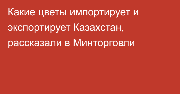 Какие цветы импортирует и экспортирует Казахстан, рассказали в Минторговли