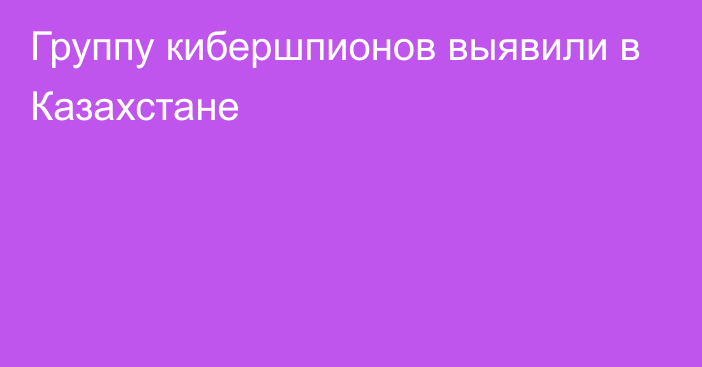 Группу кибершпионов выявили в Казахстане