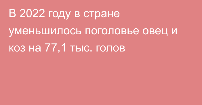 В 2022 году в стране уменьшилось поголовье овец и коз на 77,1 тыс. голов